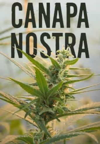  Canapa Nostra Poster
