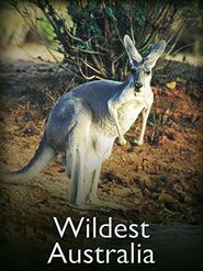  Wildest Australia Poster