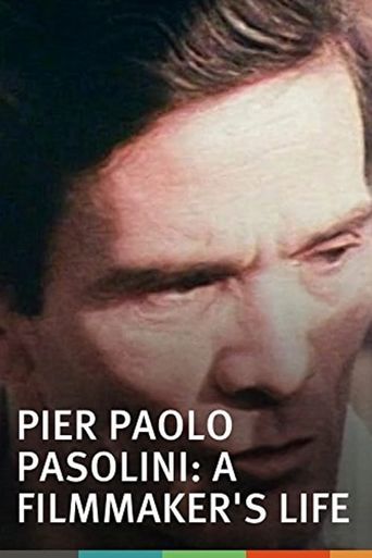  Pier Paolo Pasolini: A Film Maker's Life Poster
