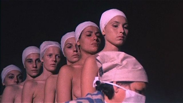 Deported Women of the SS Special Section Backdrop