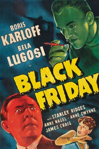  Black Friday Poster