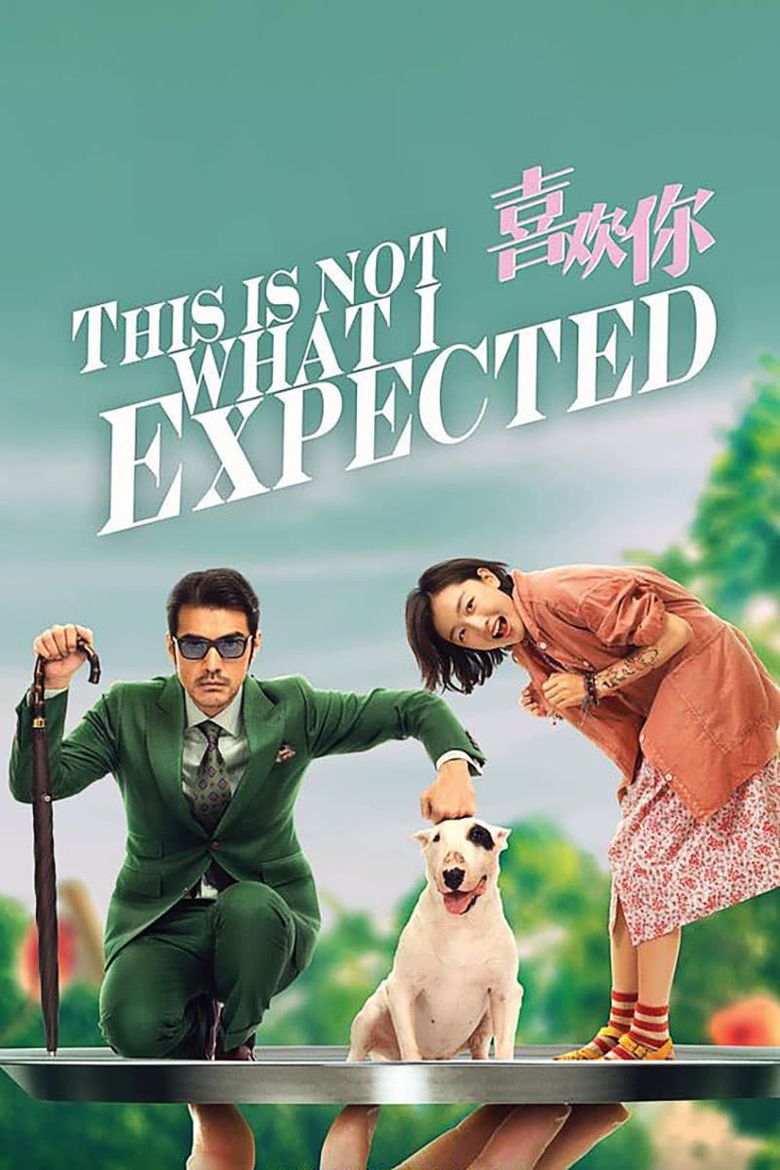 This Is Not What I Expected Poster