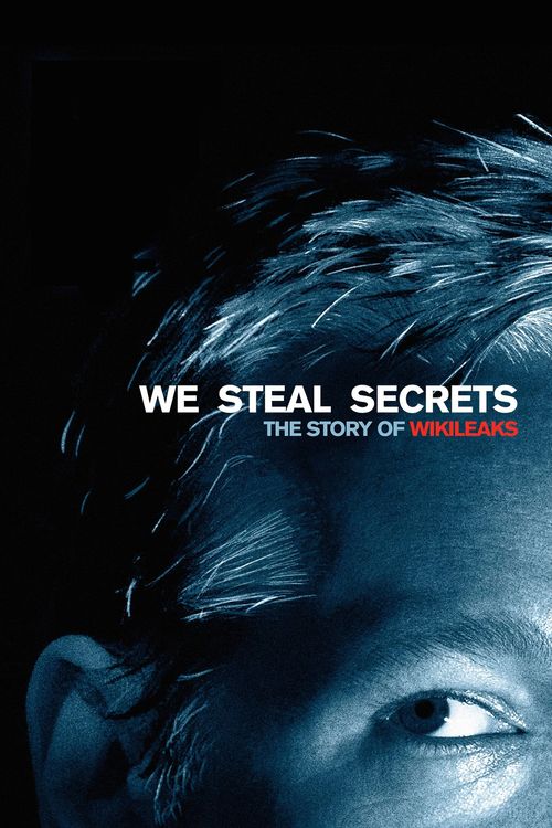 We Steal Secrets Poster