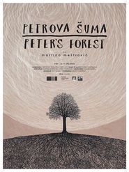  Peter's Forest Poster