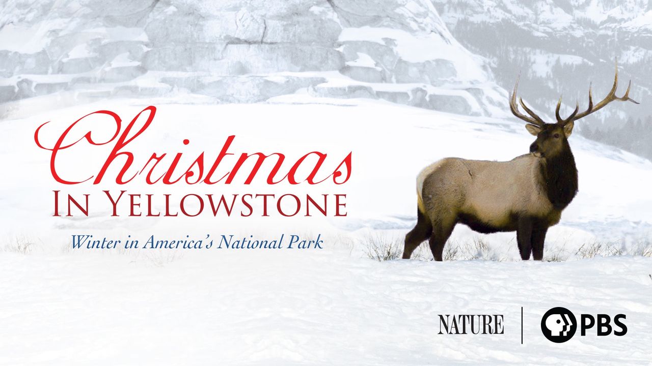 Christmas in Yellowstone Where to Watch and Stream Online Reelgood