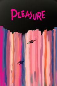  Pleasure Poster