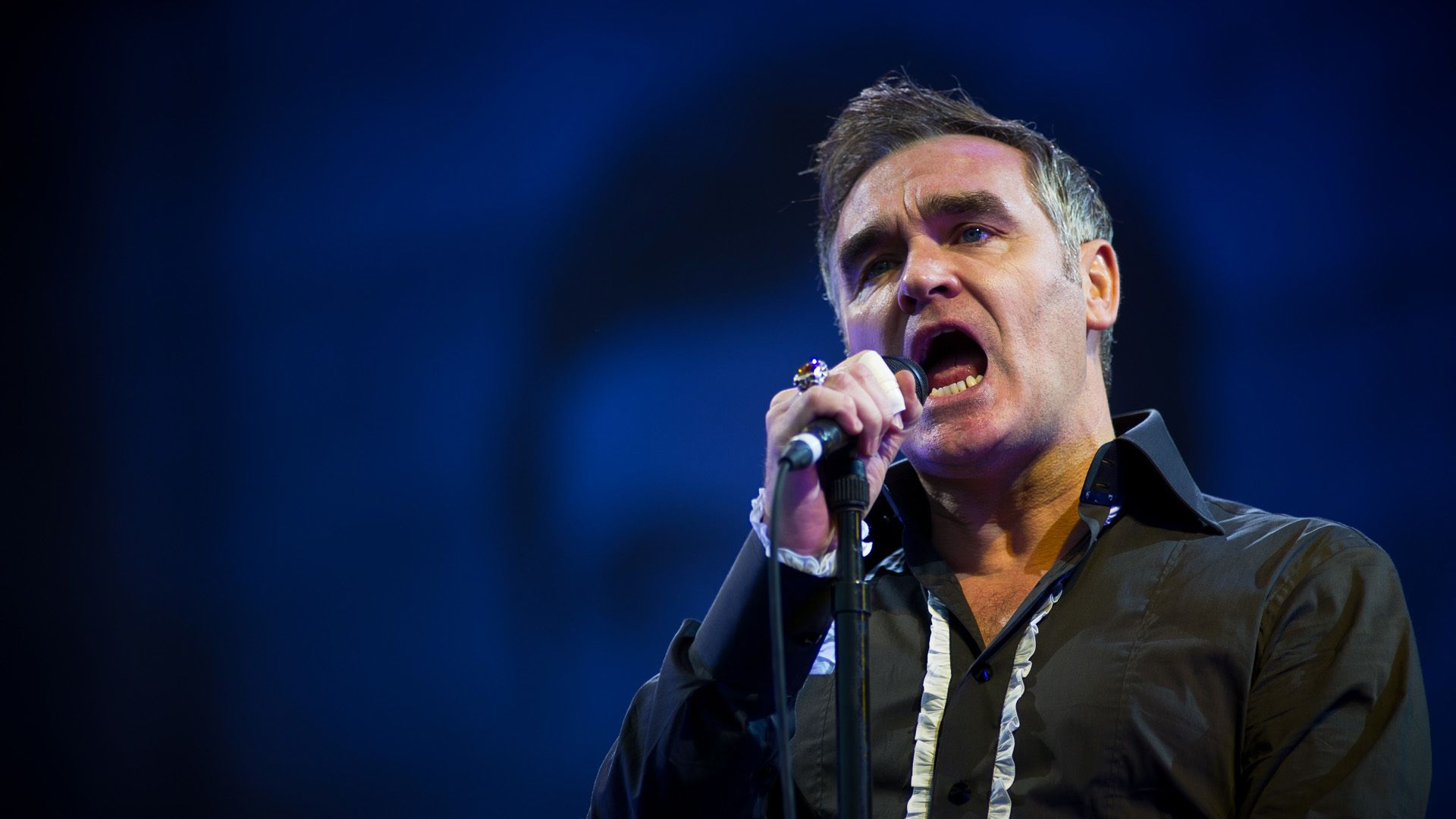 The Importance of Being Morrissey Backdrop