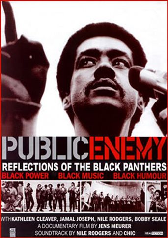  Public Enemy: Reflections of The Black Panthers Poster