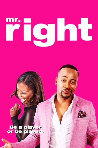  Mr. Right Poster
