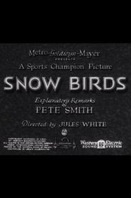  Snow Birds Poster