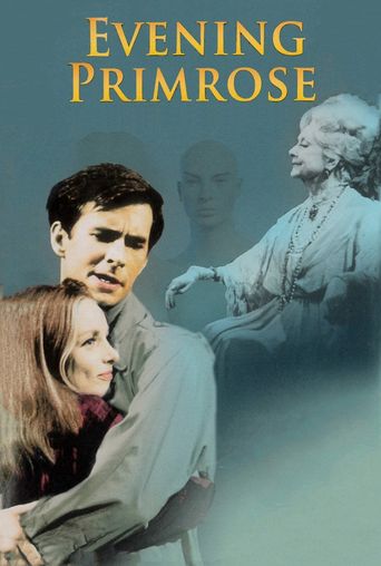  Evening Primrose Poster