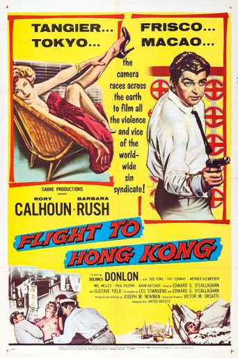  Flight to Hong Kong Poster