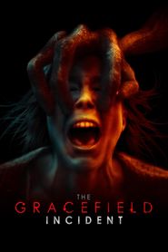  The Gracefield Incident Poster