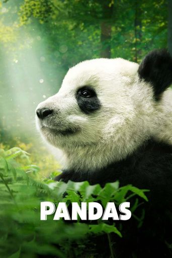  Pandas Poster
