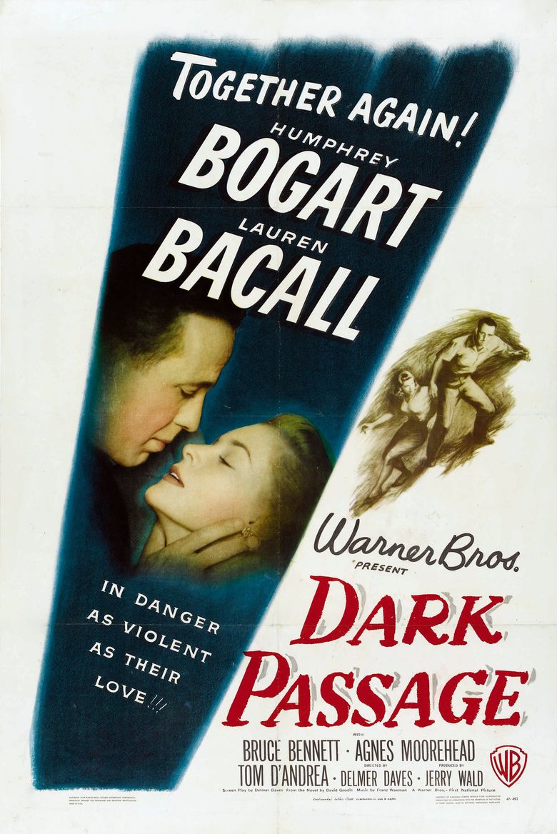 Dark Passage Poster