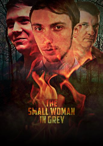  The Small Woman in Grey Poster