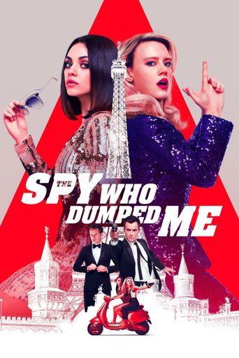  The Spy Who Dumped Me Poster