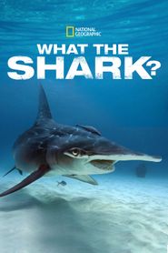  What the Shark? Poster