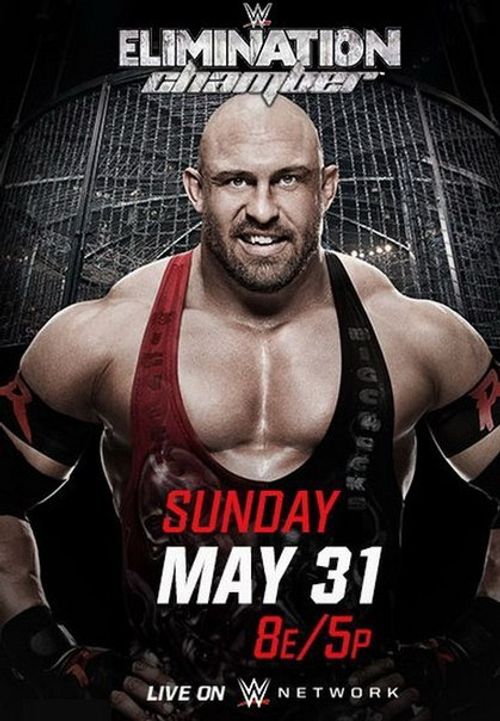 WWE Elimination Chamber 2015 Poster
