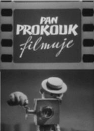  Mr. Prokouk Filmmaker Poster