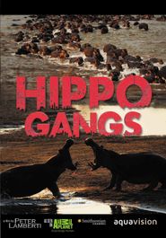  Hippo Gangs Poster