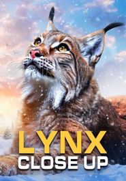  Lynx - Close Up Poster