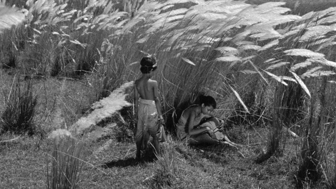 Take-II for Ray's Pather Panchali sketchbook | Kolkata News - Times of India