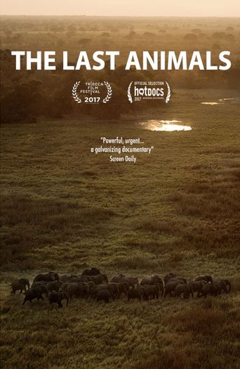  The Last Animals Poster
