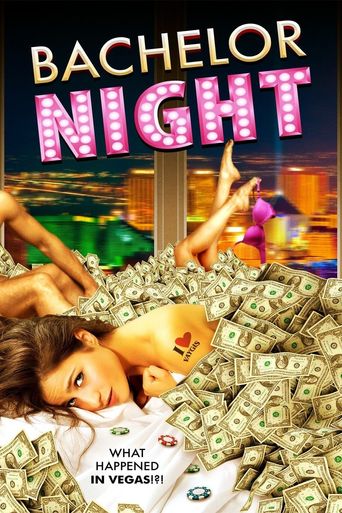  Bachelor Night Poster