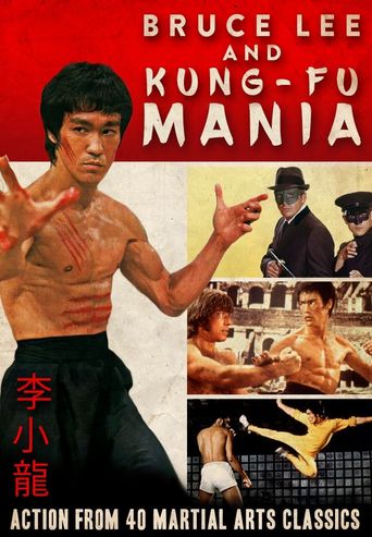  Bruce Lee and Kung Fu Mania Poster