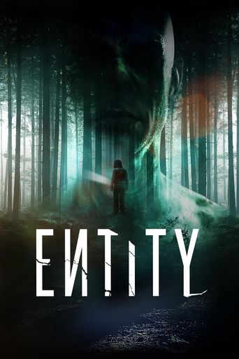 Entity Poster