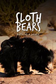  Sloth Bears: Birth of a Prince Poster