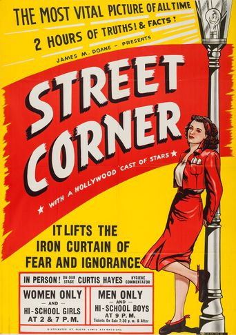  Street Corner Poster