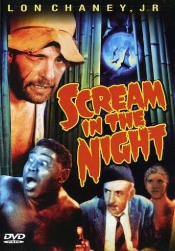  A Scream in the Night Poster