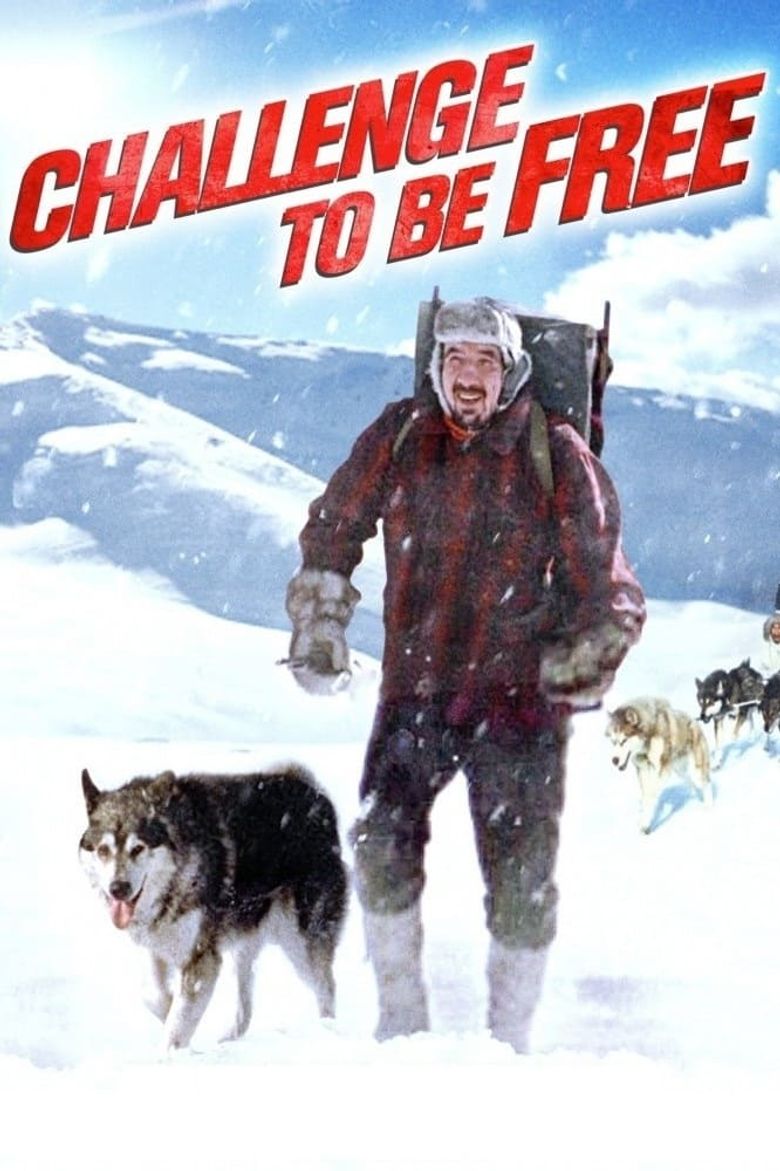 Challenge to be Free Poster