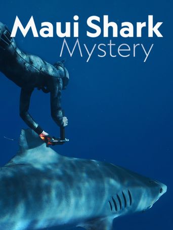  Maui Shark Mystery Poster