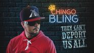 Chingo Bling: They Can't Deport Us All Poster