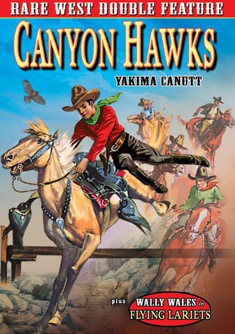  Canyon Hawks Poster