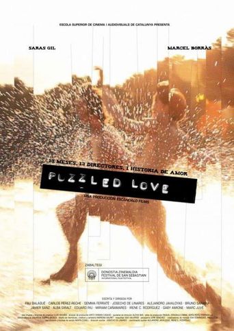  Puzzled Love Poster