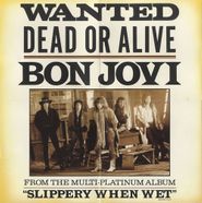  Bon Jovi: Wanted Dead or Alive Poster