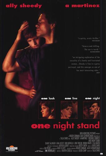  One Night Stand Poster