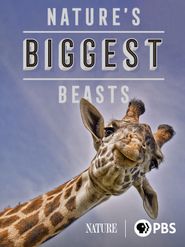  Nature's Biggest Beasts Poster