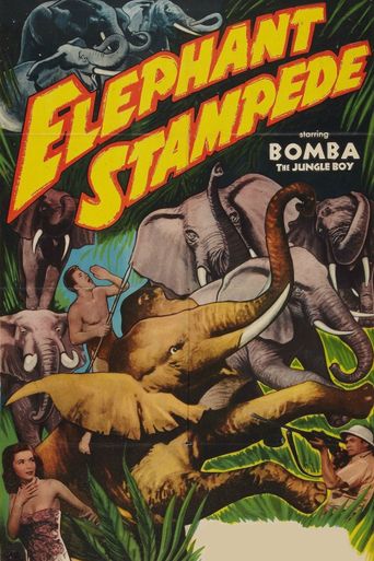  Elephant Stampede Poster