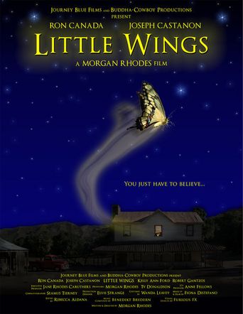  Little Wings Poster