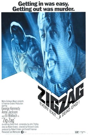  Zig Zag Poster
