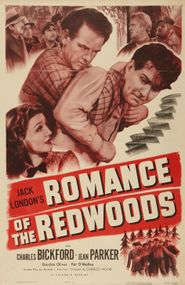  Romance of the Redwoods Poster