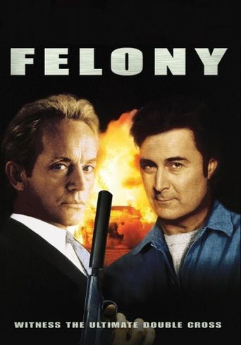  Felony Poster