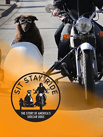  Sit Stay Ride: The Story of America's Sidecar Dogs Poster