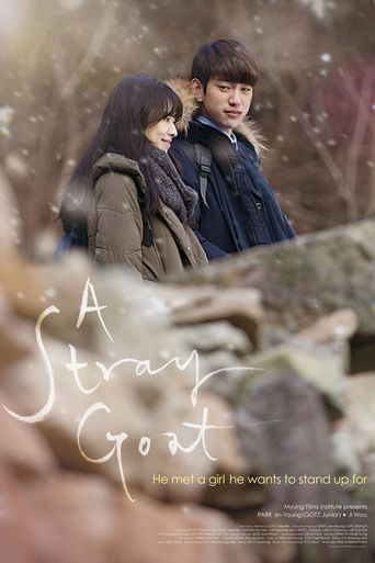  A Stray Goat Poster