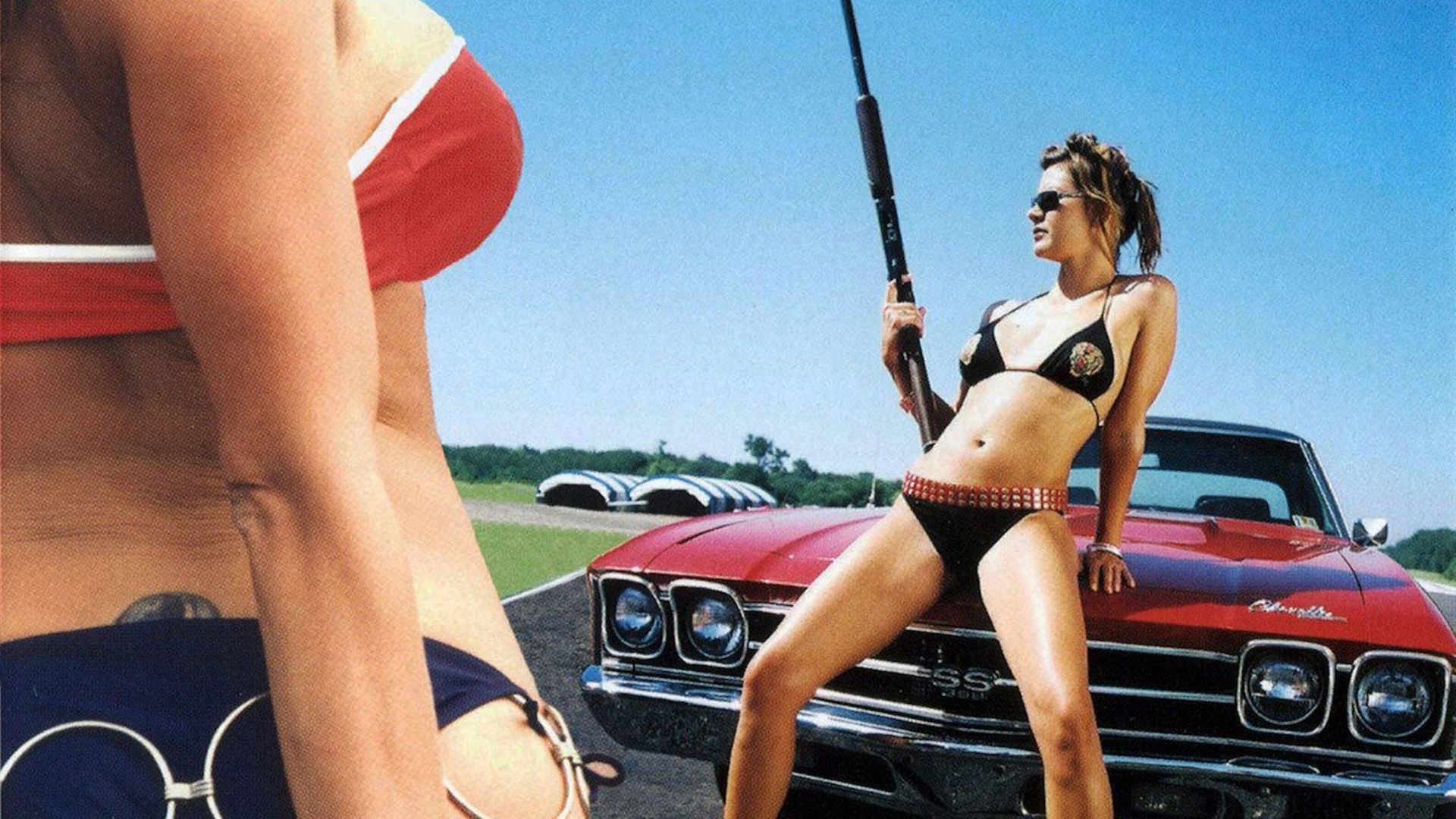 Fellow Fare Stolthed Bikini Bandits (2002) - Where to Watch It Streaming Online | Reelgood